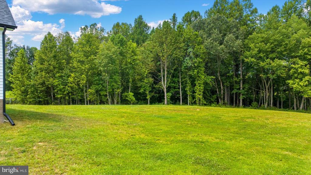 23595 WHARTONS PASS, UNIONVILLE, Virginia 22567, 4 Bedrooms Bedrooms, ,2 BathroomsBathrooms,Residential,23595 WHARTONS PASS,VAOR2010494 MLS # VAOR2010494