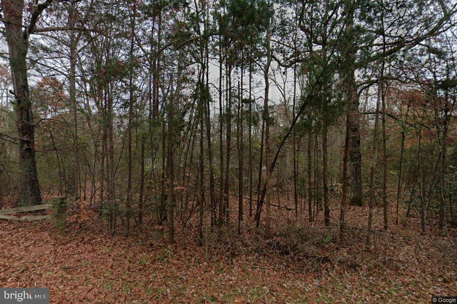13129 SILLAMON RD, GOLDVEIN, Virginia 22720, ,Land,For sale,13129 SILLAMON RD,VAFQ2018248 MLS # VAFQ2018248