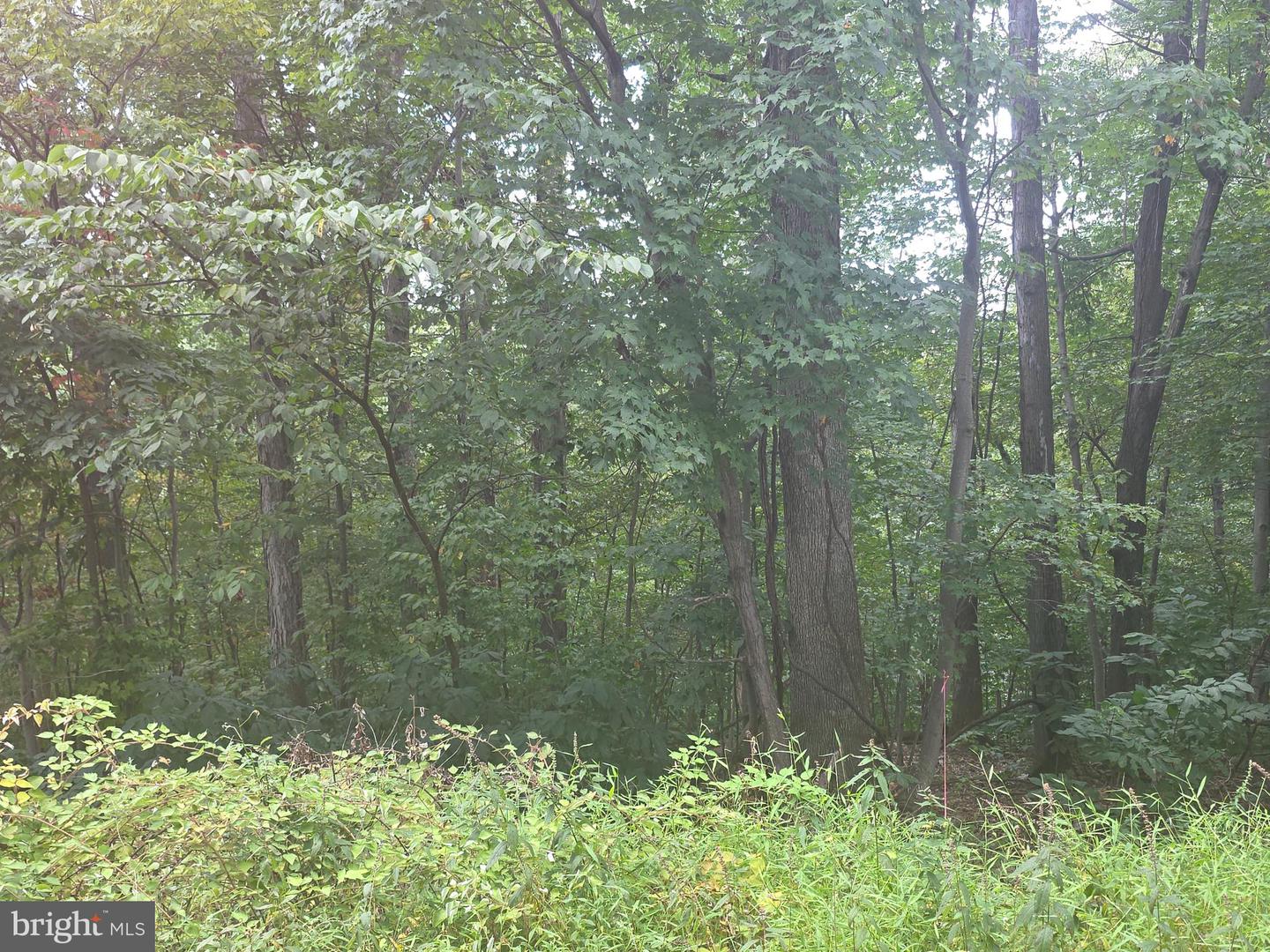 CHERRYWOOD RD, FRONT ROYAL, Virginia 22630, ,Land,For sale,CHERRYWOOD RD,VAWR2012258 MLS # VAWR2012258