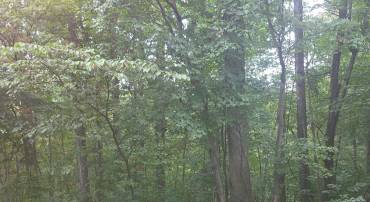 CHERRYWOOD RD, FRONT ROYAL, Virginia 22630, ,Land,For sale,CHERRYWOOD RD,VAWR2012258 MLS # VAWR2012258