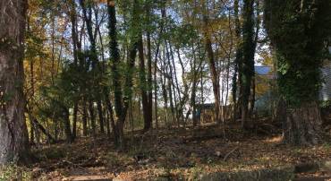 2004 PIREUS ROW #LOT 5, BLOCK A DEED, CHARLOTTESVILLE, Virginia 22902, ,Land,For sale,2004 PIREUS ROW #LOT 5, BLOCK A DEED,668812 MLS # 668812
