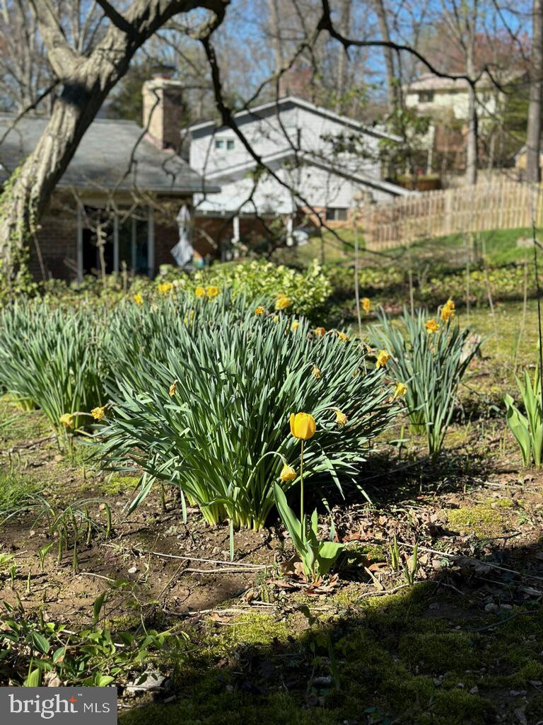 9883 BECKET CT, FAIRFAX, Virginia 22032, 4 Bedrooms Bedrooms, ,2 BathroomsBathrooms,Residential,For sale,9883 BECKET CT,VAFX2264786 MLS # VAFX2264786