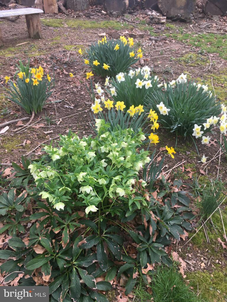 9883 BECKET CT, FAIRFAX, Virginia 22032, 4 Bedrooms Bedrooms, ,2 BathroomsBathrooms,Residential,For sale,9883 BECKET CT,VAFX2264786 MLS # VAFX2264786