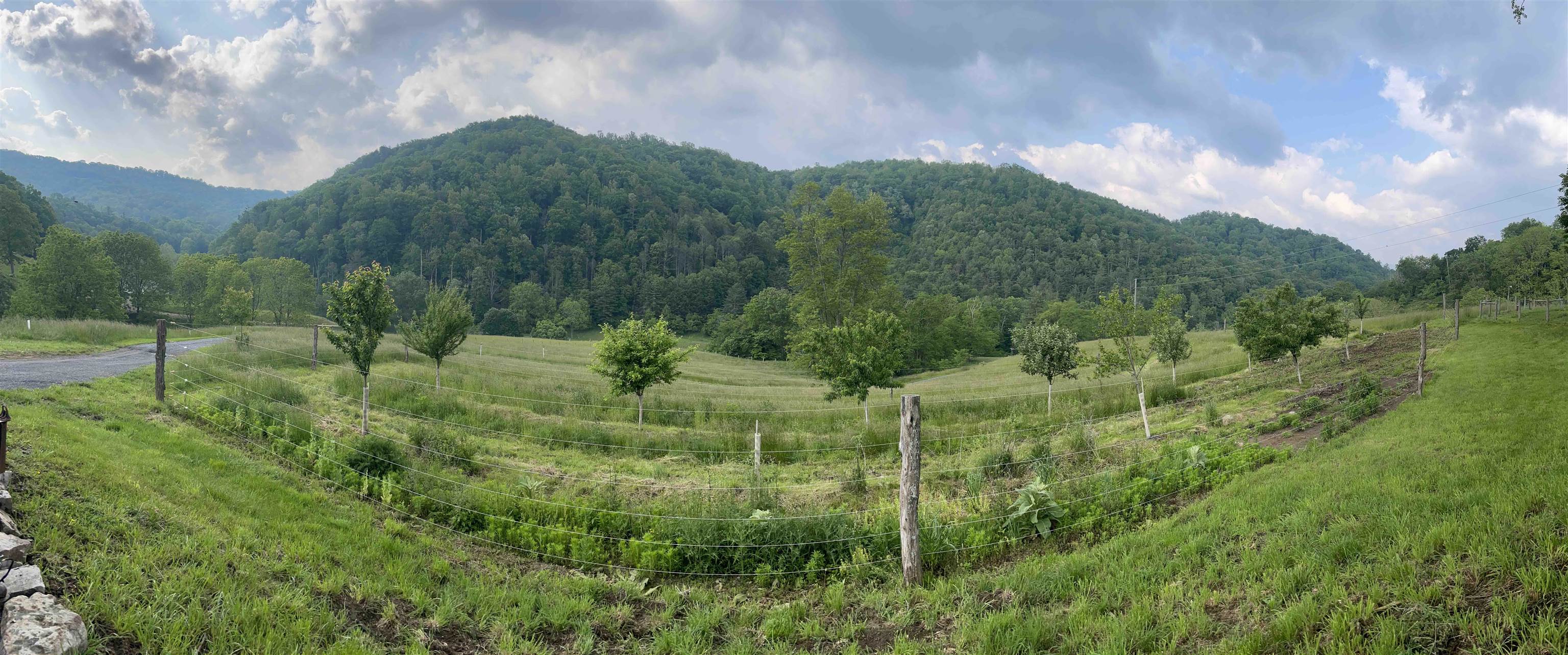9943 HIGHLAND TPKE, MCDOWELL, Virginia 24458, 2 Bedrooms Bedrooms, ,1 BathroomBathrooms,Residential,Tonoloway Farm,9943 HIGHLAND TPKE,661550 MLS # 661550