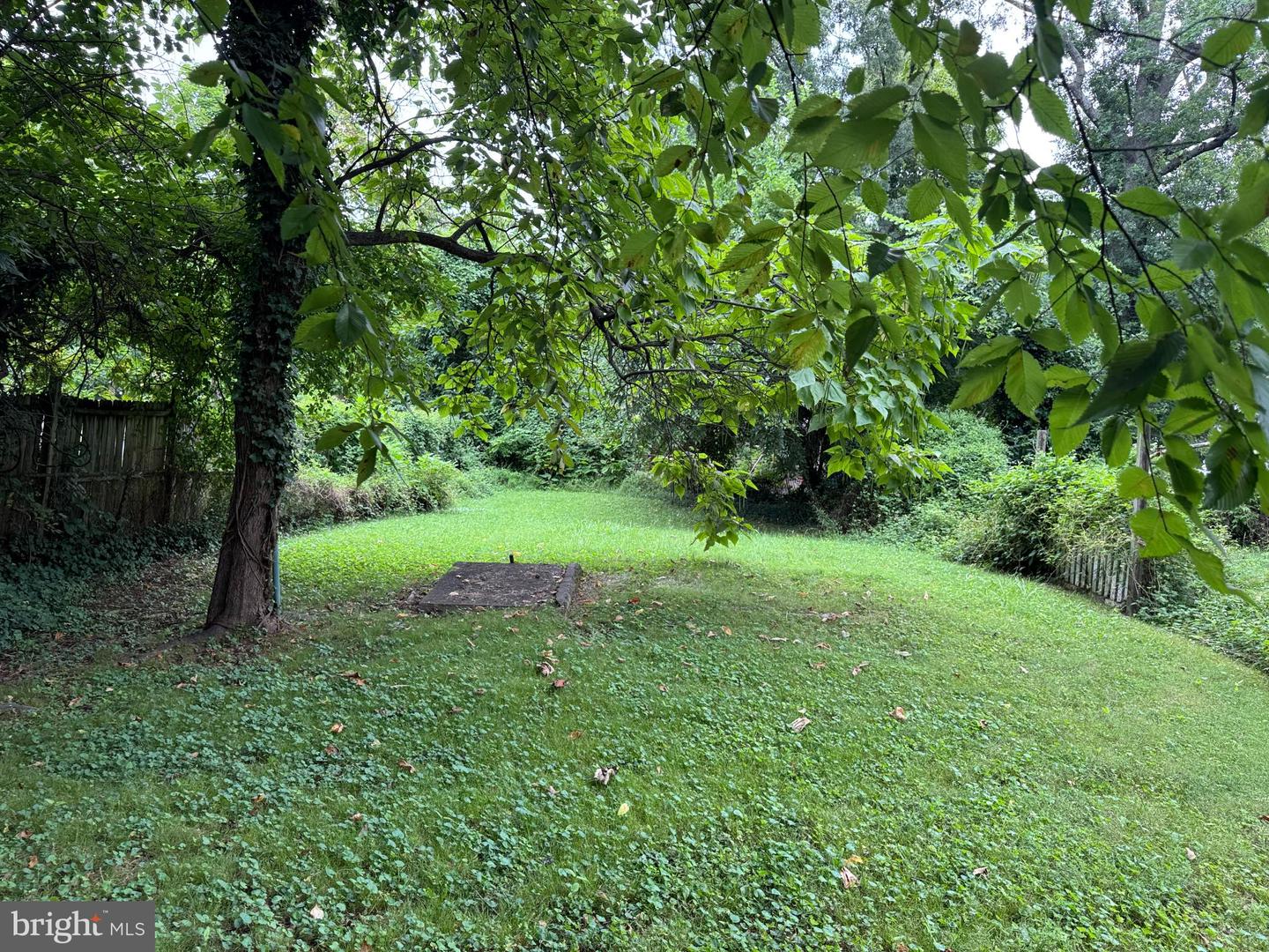 2874 PERRY ST NE, WASHINGTON, District Of Columbia 20018, 2 Bedrooms Bedrooms, 7 Rooms Rooms,2 BathroomsBathrooms,Residential,For sale,2874 PERRY ST NE,DCDC2214846 MLS # DCDC2214846 2874 PERRY ST NE, WASHINGTON, District Of Columbia 20018, 2 Bedrooms Bedrooms, 7 Rooms Rooms,2 BathroomsBathrooms,Residential,For sale,2874 PERRY ST NE,DCDC2214846 MLS # DCDC2214846