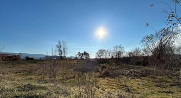 KINGREE STREET, WOODSTOCK, Virginia 22664, ,Land,For sale,KINGREE STREET,VASH2012474 MLS # VASH2012474