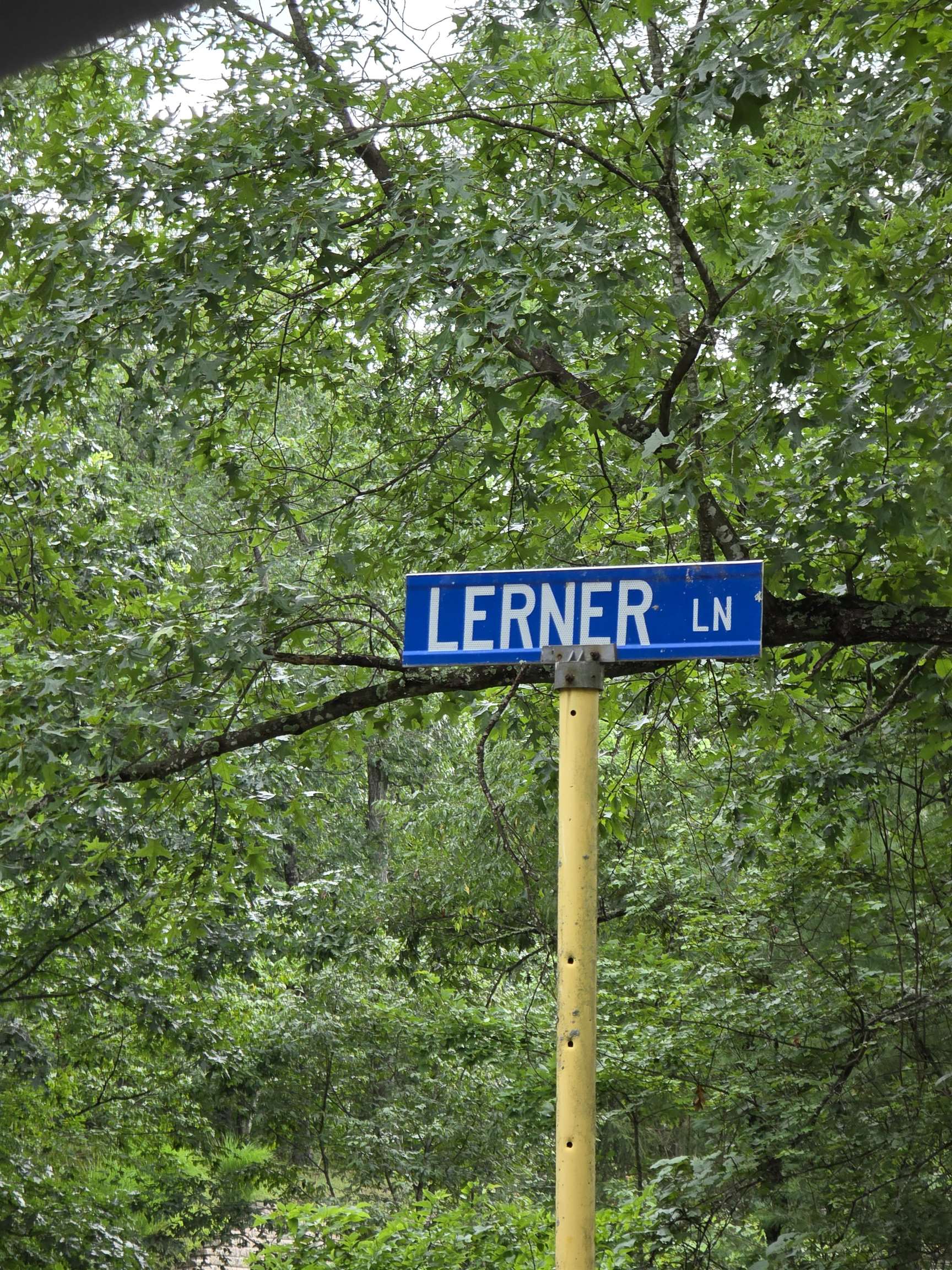 0 LERNER LN, BASYE, Virginia 22810, ,Land,0 LERNER LN,668833 MLS # 668833