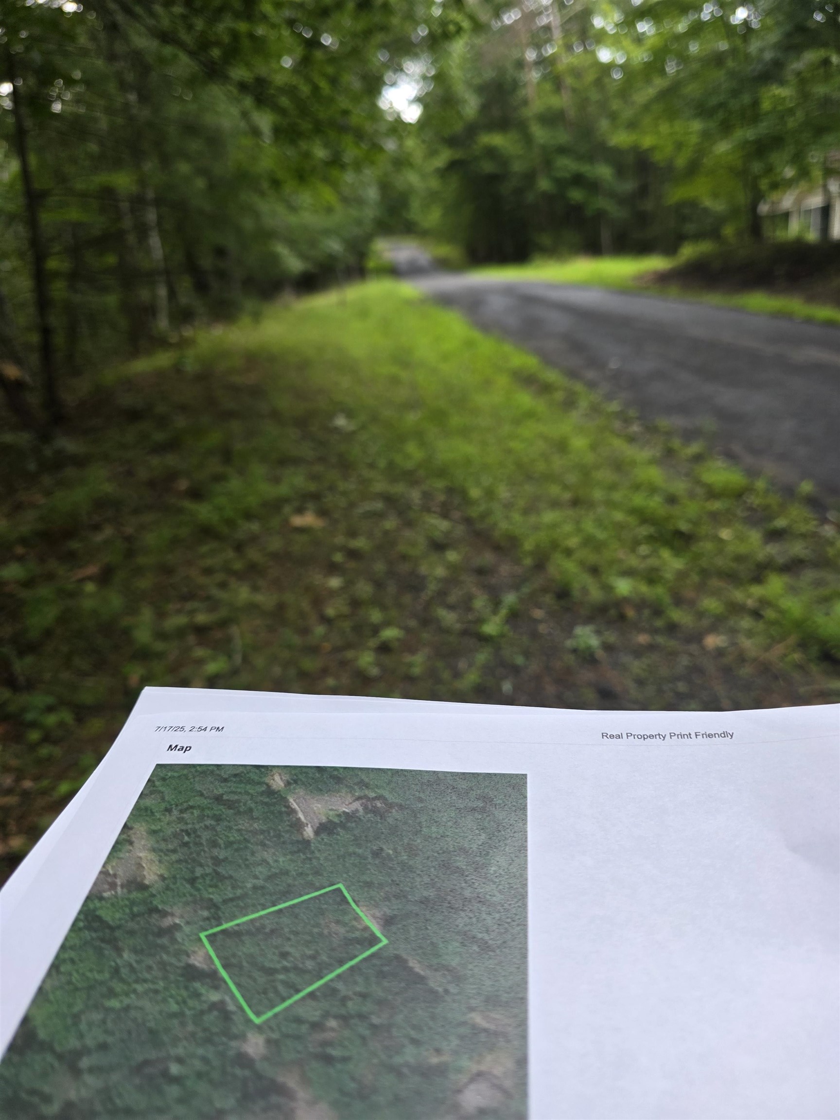 0 LERNER LN, BASYE, Virginia 22810, ,Land,0 LERNER LN,668833 MLS # 668833