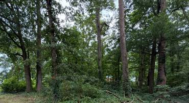 6821 RIDGEWAY DR, SPRINGFIELD, Virginia 22150, ,Land,For sale,6821 RIDGEWAY DR,VAFX2264064 MLS # VAFX2264064