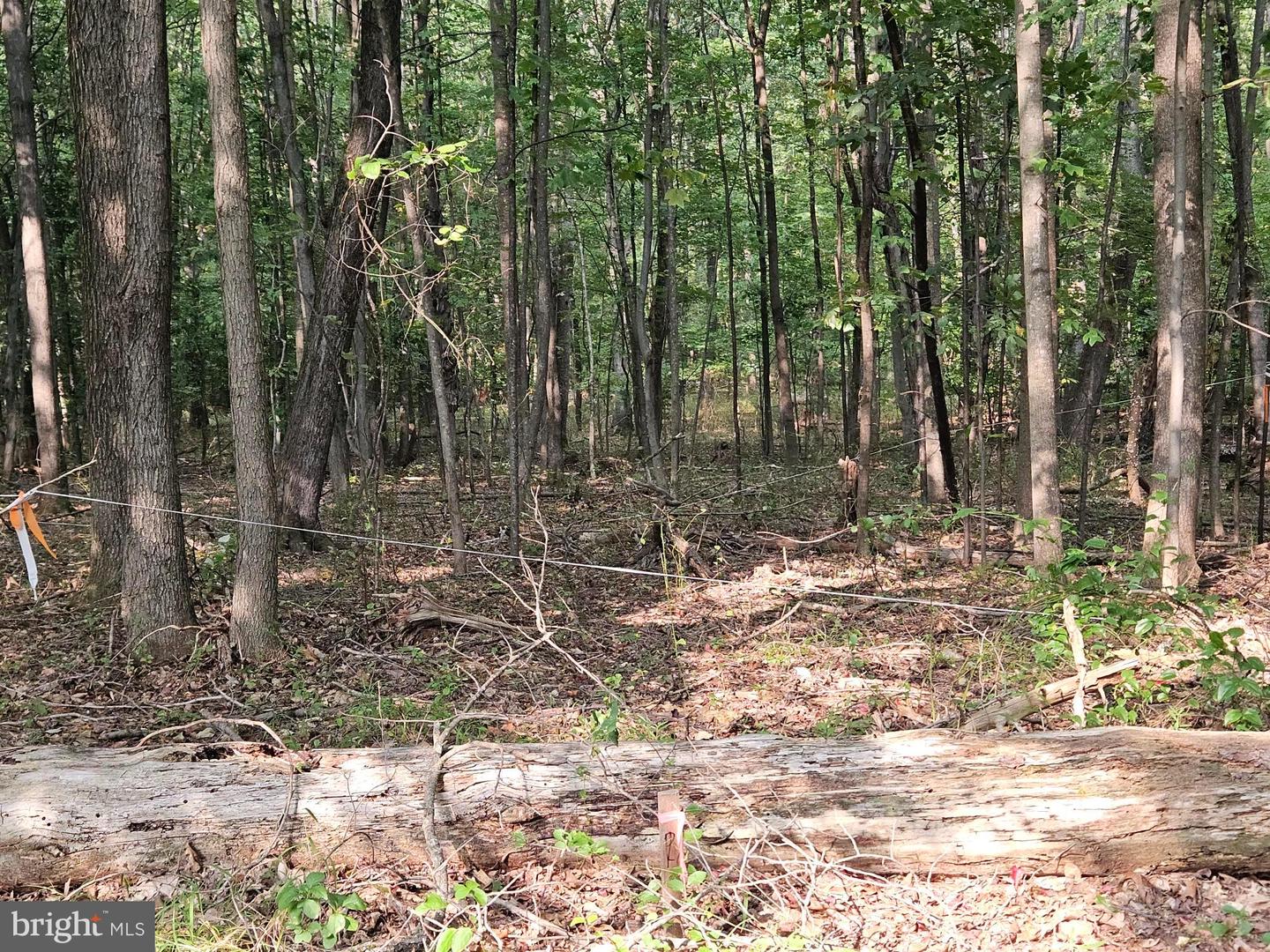 4169 MOUNTAIN RD, HAYMARKET, Virginia 20169, ,Land,For sale,4169 MOUNTAIN RD,VAPW2103722 MLS # VAPW2103722