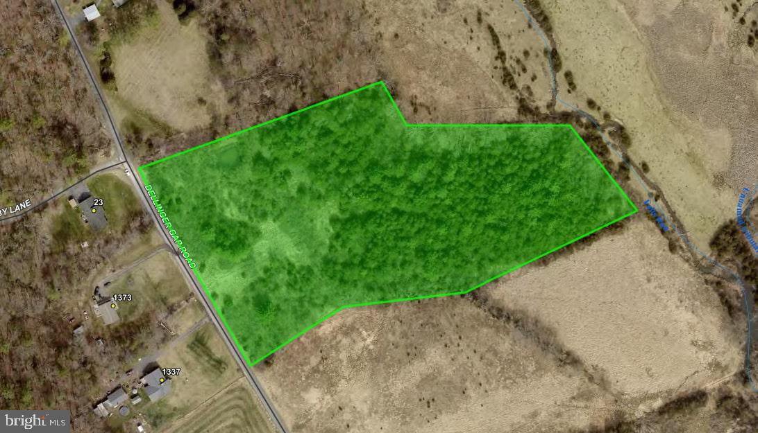 00 DELLINGER GAP RD, EDINBURG, Virginia 22824, ,Land,For sale,00 DELLINGER GAP RD,VASH2012508 MLS # VASH2012508