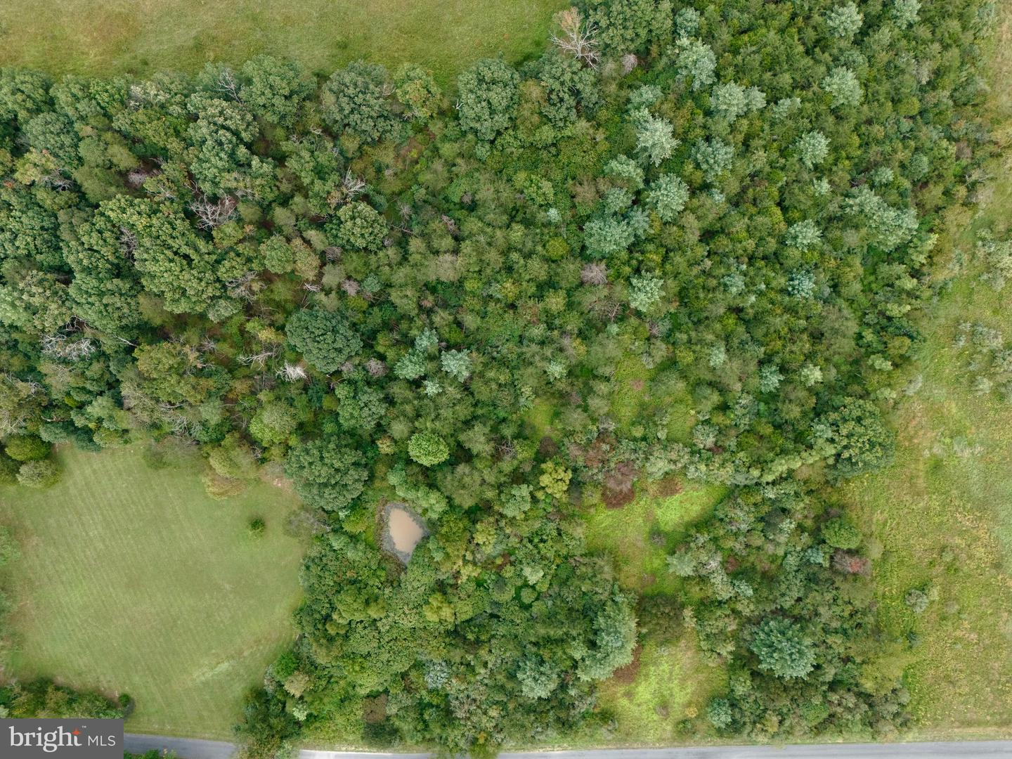 00 DELLINGER GAP RD, EDINBURG, Virginia 22824, ,Land,For sale,00 DELLINGER GAP RD,VASH2012508 MLS # VASH2012508