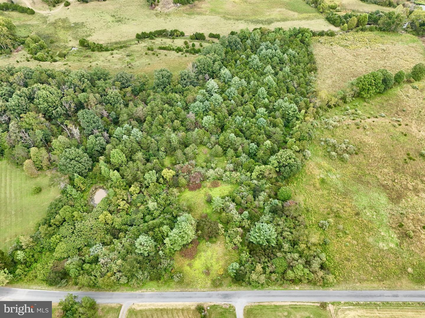 00 DELLINGER GAP RD, EDINBURG, Virginia 22824, ,Land,For sale,00 DELLINGER GAP RD,VASH2012508 MLS # VASH2012508