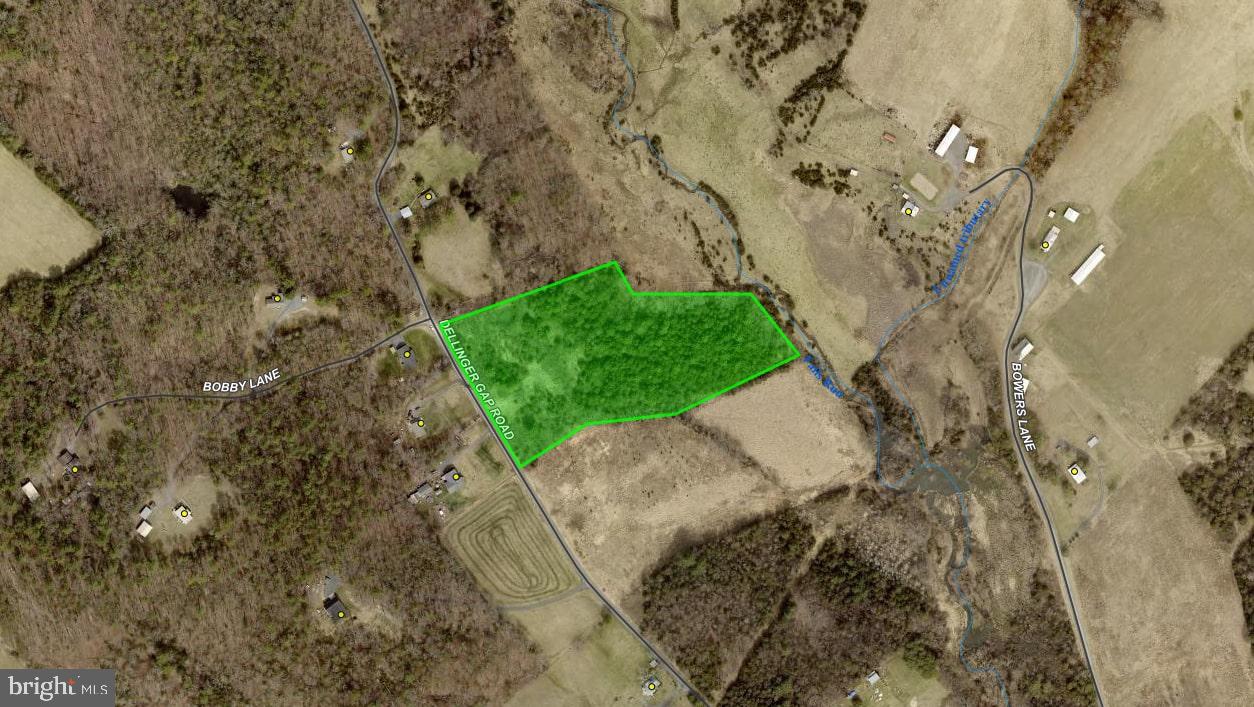 00 DELLINGER GAP RD, EDINBURG, Virginia 22824, ,Land,For sale,00 DELLINGER GAP RD,VASH2012508 MLS # VASH2012508