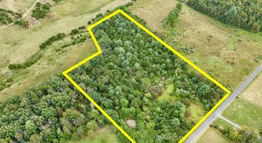 00 DELLINGER GAP RD, EDINBURG, Virginia 22824, ,Land,For sale,00 DELLINGER GAP RD,VASH2012508 MLS # VASH2012508