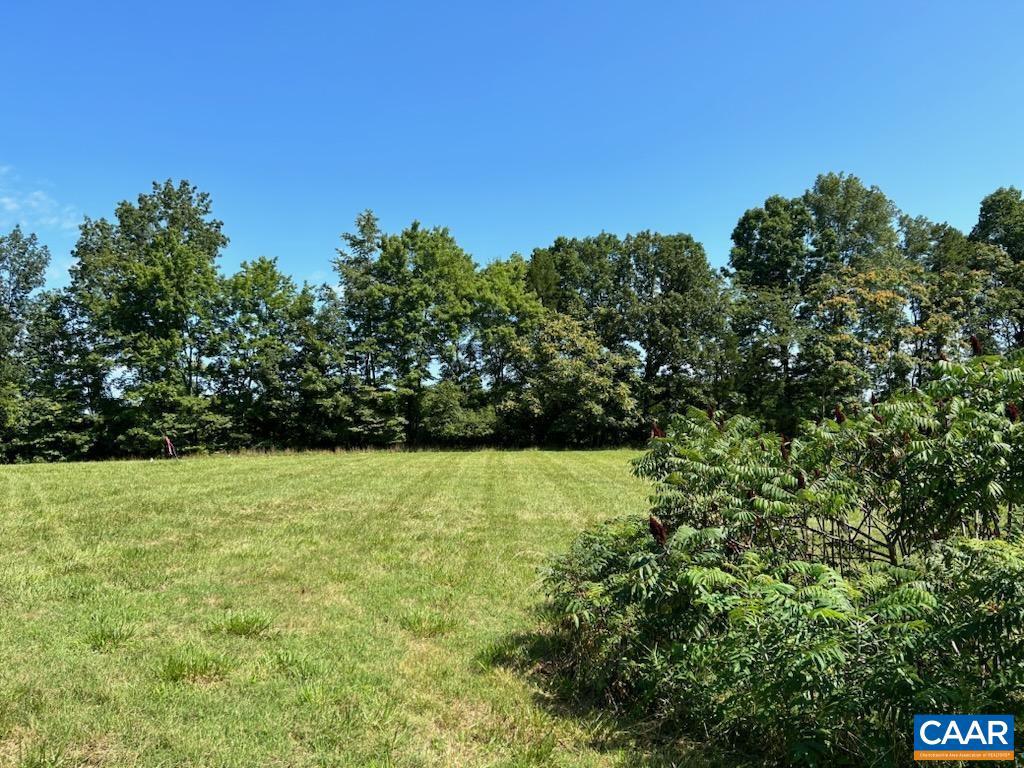 2565 PATTIE RD, BUCKINGHAM, Virginia 23921, ,Land,For sale,2565 PATTIE RD,668844 MLS # 668844