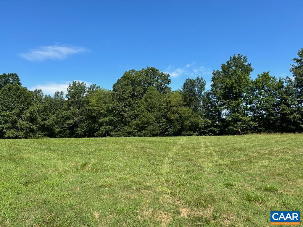 2565 PATTIE RD, BUCKINGHAM, Virginia 23921, ,Land,For sale,2565 PATTIE RD,668844 MLS # 668844