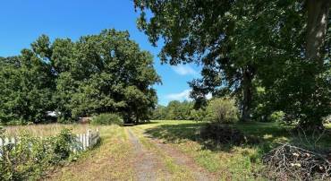 2565 PATTIE RD, BUCKINGHAM, Virginia 23921, ,Land,For sale,2565 PATTIE RD,668844 MLS # 668844
