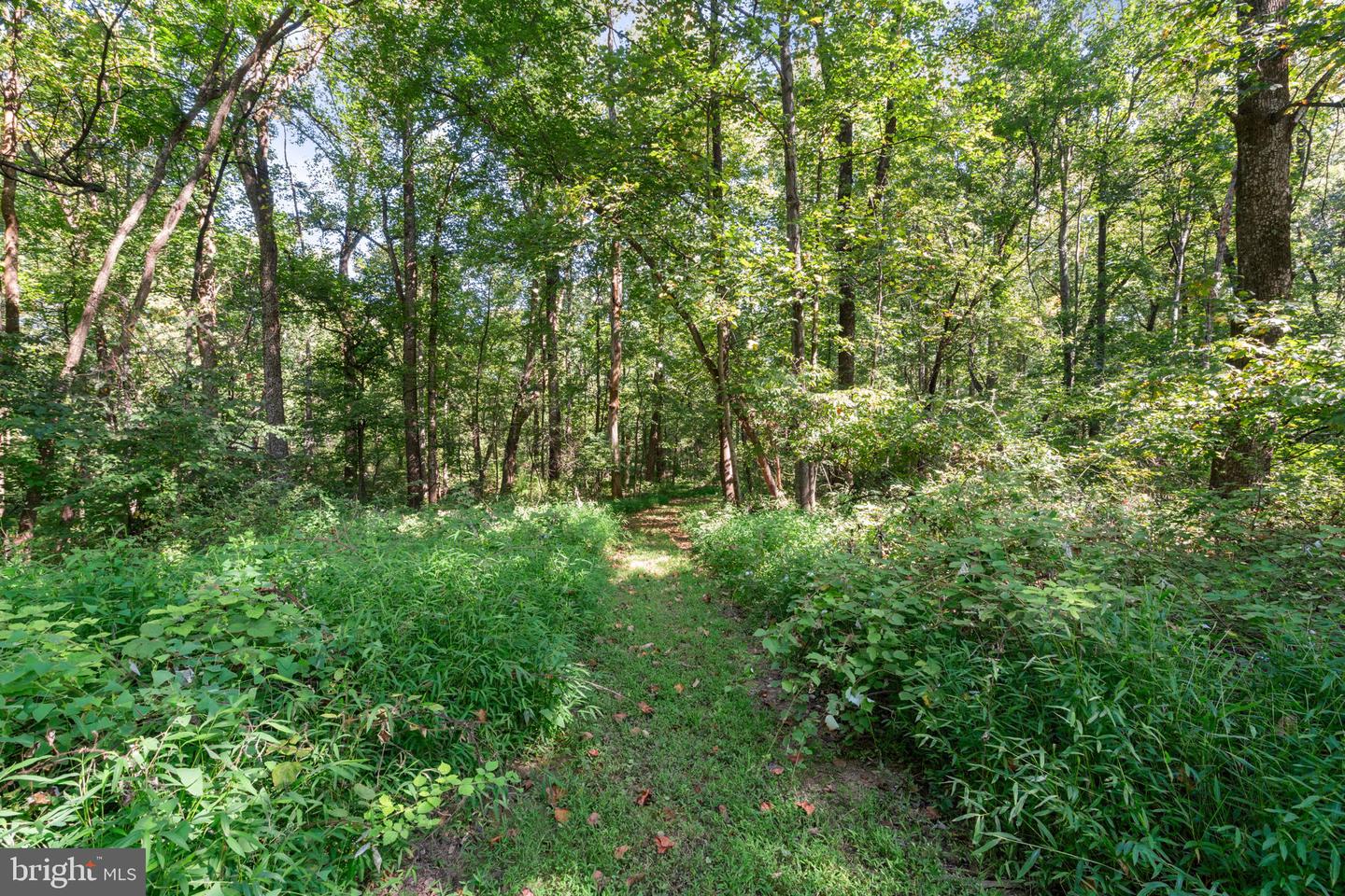 35454 CHERRY GROVE LN, ROUND HILL, Virginia 20141, 3 Bedrooms Bedrooms, ,2 BathroomsBathrooms,Residential,For sale,35454 CHERRY GROVE LN,VALO2105044 MLS # VALO2105044