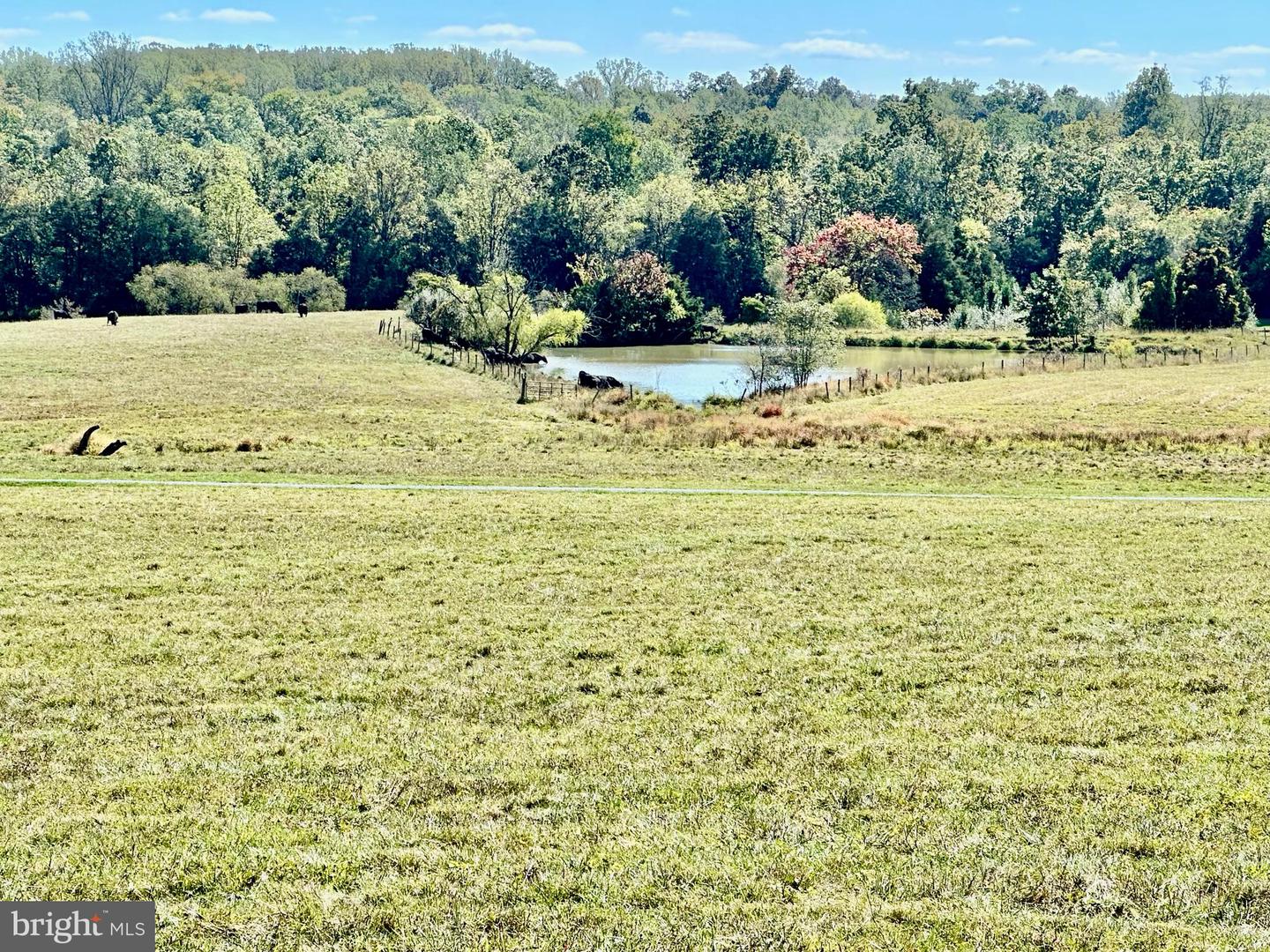 7038 BEACONSFIELD LN, WARRENTON, Virginia 20187, 2 Bedrooms Bedrooms, ,3 BathroomsBathrooms,Farm,For sale,7038 BEACONSFIELD LN,VAFQ2018266 MLS # VAFQ2018266