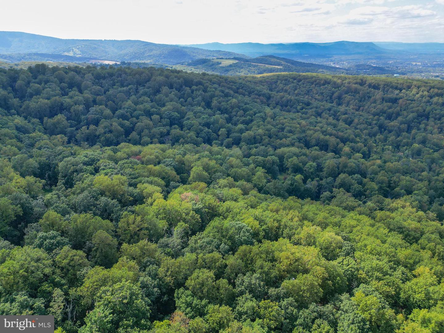 LOT 26 MASSANUTTEN MOUNTAIN DR, FRONT ROYAL, Virginia 22630, ,Land,For sale,LOT 26 MASSANUTTEN MOUNTAIN DR,VAWR2012242 MLS # VAWR2012242