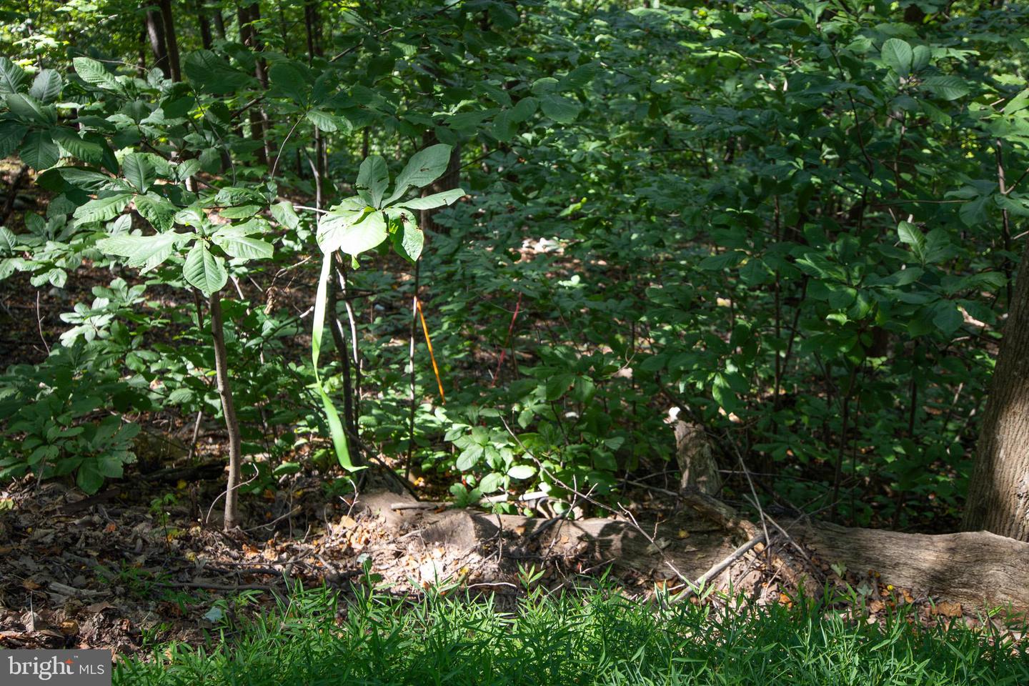 LOT 26 MASSANUTTEN MOUNTAIN DR, FRONT ROYAL, Virginia 22630, ,Land,For sale,LOT 26 MASSANUTTEN MOUNTAIN DR,VAWR2012242 MLS # VAWR2012242