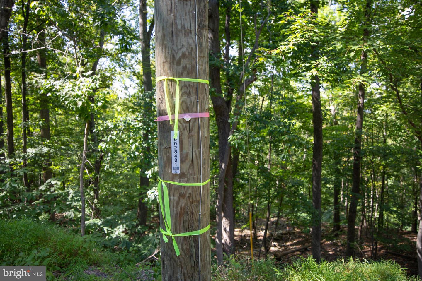 LOT 26 MASSANUTTEN MOUNTAIN DR, FRONT ROYAL, Virginia 22630, ,Land,For sale,LOT 26 MASSANUTTEN MOUNTAIN DR,VAWR2012242 MLS # VAWR2012242
