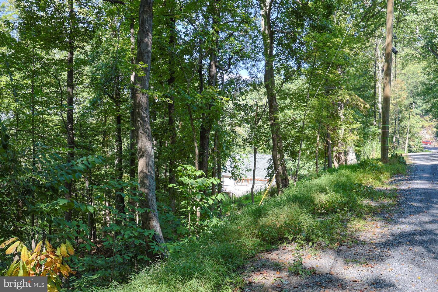 LOT 26 MASSANUTTEN MOUNTAIN DR, FRONT ROYAL, Virginia 22630, ,Land,For sale,LOT 26 MASSANUTTEN MOUNTAIN DR,VAWR2012242 MLS # VAWR2012242