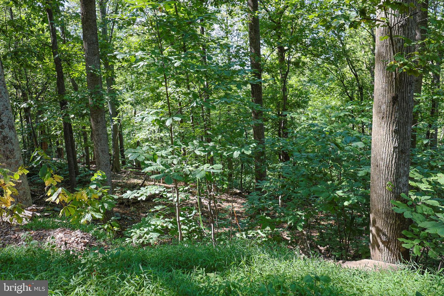 LOT 26 MASSANUTTEN MOUNTAIN DR, FRONT ROYAL, Virginia 22630, ,Land,For sale,LOT 26 MASSANUTTEN MOUNTAIN DR,VAWR2012242 MLS # VAWR2012242