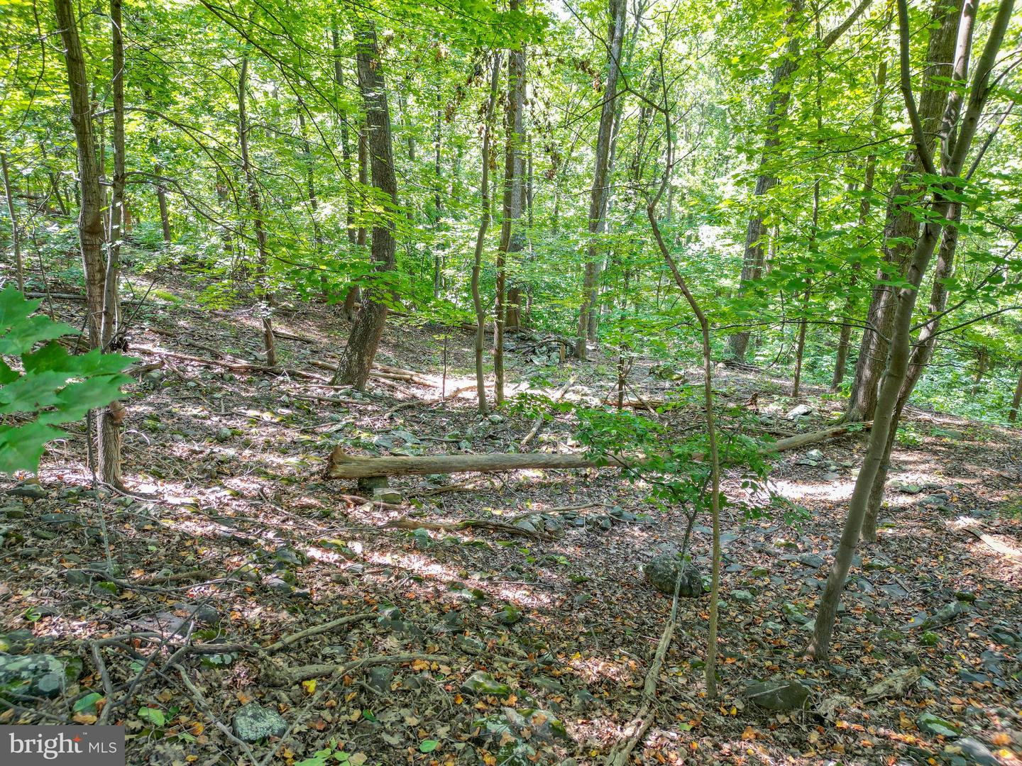 LOT 26 MASSANUTTEN MOUNTAIN DR, FRONT ROYAL, Virginia 22630, ,Land,For sale,LOT 26 MASSANUTTEN MOUNTAIN DR,VAWR2012242 MLS # VAWR2012242