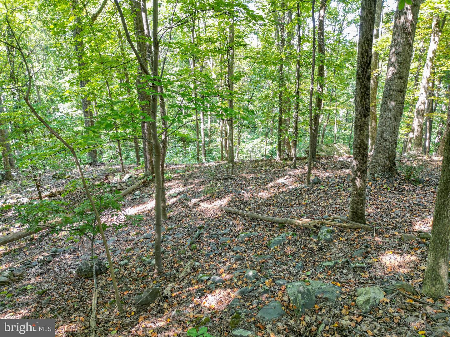 LOT 26 MASSANUTTEN MOUNTAIN DR, FRONT ROYAL, Virginia 22630, ,Land,For sale,LOT 26 MASSANUTTEN MOUNTAIN DR,VAWR2012242 MLS # VAWR2012242