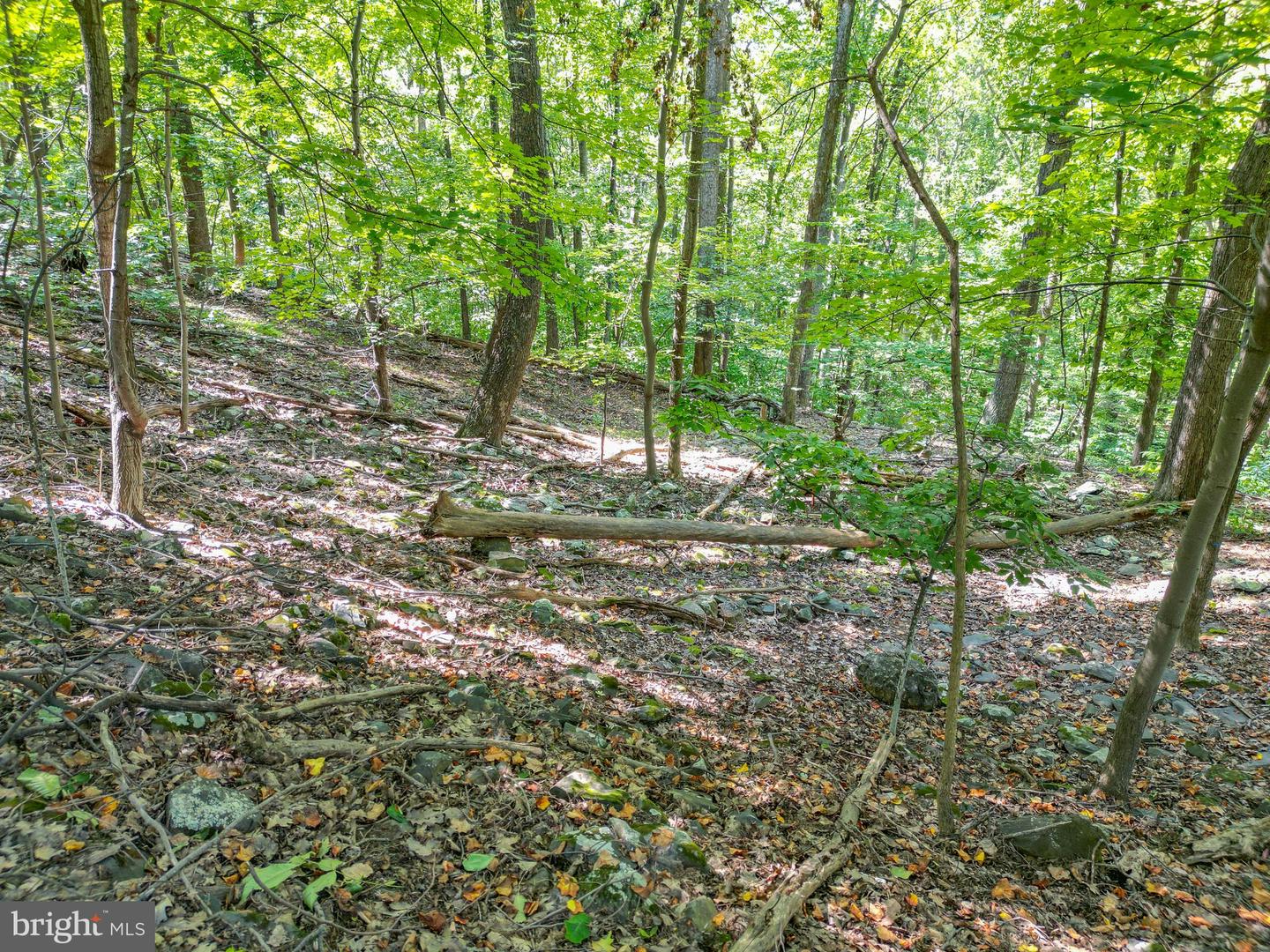 LOT 26 MASSANUTTEN MOUNTAIN DR, FRONT ROYAL, Virginia 22630, ,Land,For sale,LOT 26 MASSANUTTEN MOUNTAIN DR,VAWR2012242 MLS # VAWR2012242