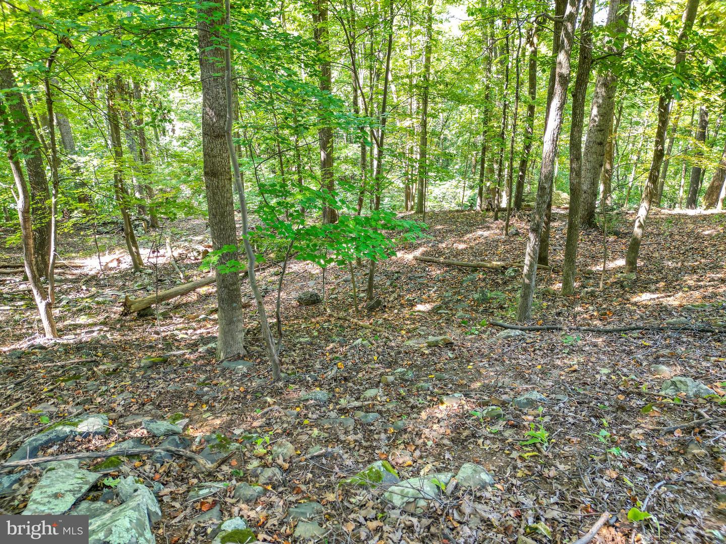 LOT 26 MASSANUTTEN MOUNTAIN DR, FRONT ROYAL, Virginia 22630, ,Land,For sale,LOT 26 MASSANUTTEN MOUNTAIN DR,VAWR2012242 MLS # VAWR2012242