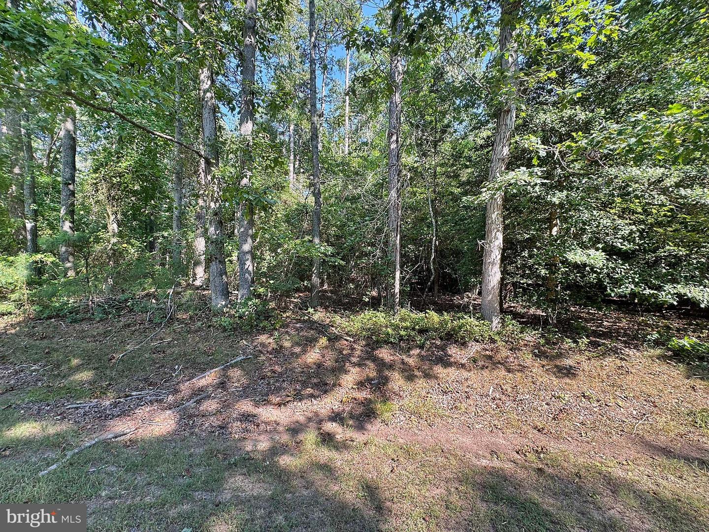 LOT 1976 MAYFLOWER DR, GREENBACKVILLE, Virginia 23356, ,Land,For sale,LOT 1976 MAYFLOWER DR,VAAC2002246 MLS # VAAC2002246