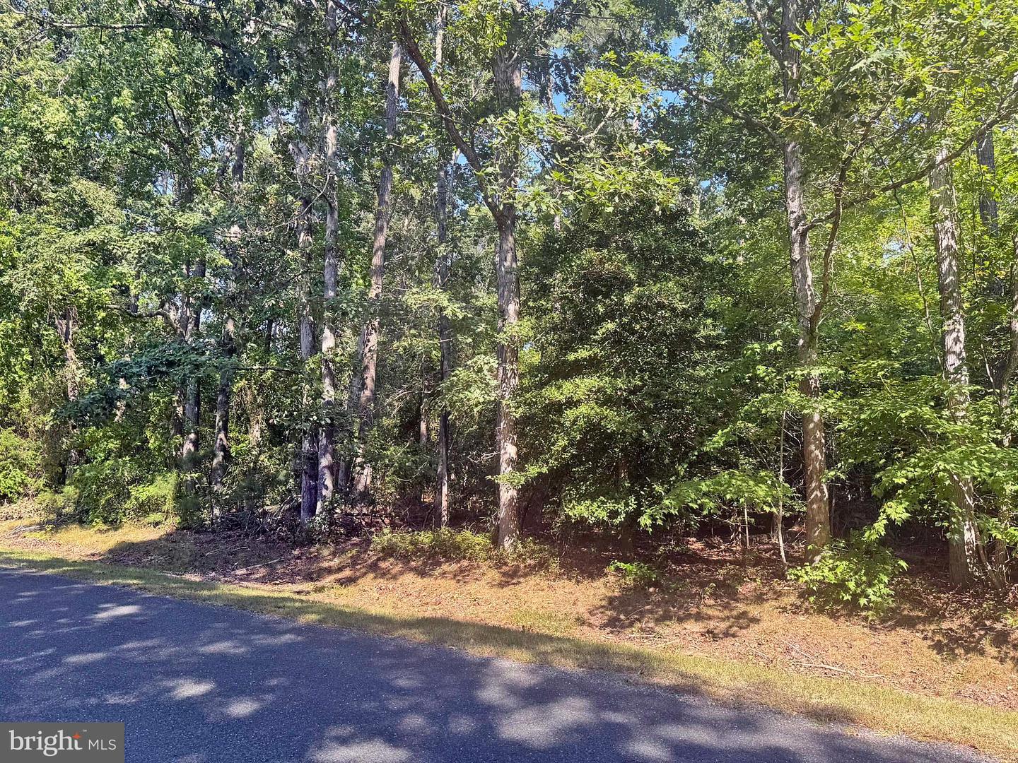 LOT 1976 MAYFLOWER DR, GREENBACKVILLE, Virginia 23356, ,Land,For sale,LOT 1976 MAYFLOWER DR,VAAC2002246 MLS # VAAC2002246