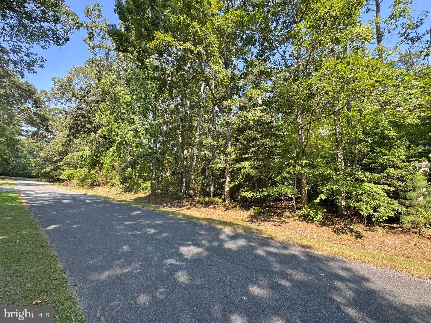 LOT 1976 MAYFLOWER DR, GREENBACKVILLE, Virginia 23356, ,Land,For sale,LOT 1976 MAYFLOWER DR,VAAC2002246 MLS # VAAC2002246