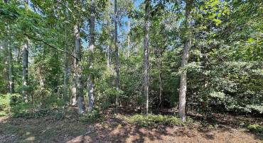 LOT 1976 MAYFLOWER DR, GREENBACKVILLE, Virginia 23356, ,Land,For sale,LOT 1976 MAYFLOWER DR,VAAC2002246 MLS # VAAC2002246