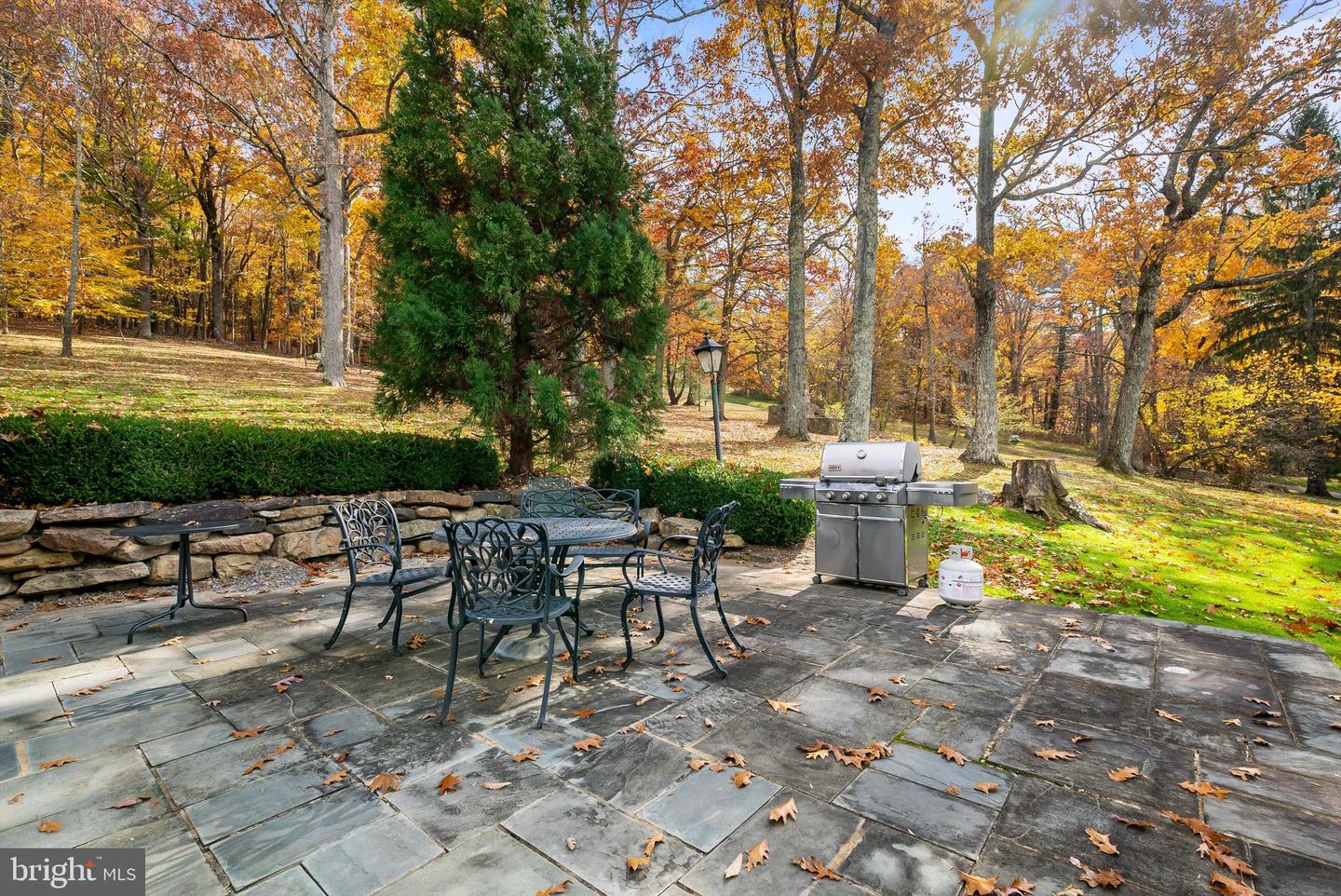 1068 SHEEP MEADOW RD, HOT SPRINGS, Virginia 24445, 5 Bedrooms Bedrooms, ,5 BathroomsBathrooms,Residential,For sale,1068 SHEEP MEADOW RD,VABT2000030 MLS # VABT2000030