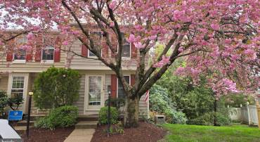11900 FIELDTHORN CT, RESTON, Virginia 20194, 2 Bedrooms Bedrooms, ,2 BathroomsBathrooms,Residential,For sale,11900 FIELDTHORN CT,VAFX2253822 MLS # VAFX2253822