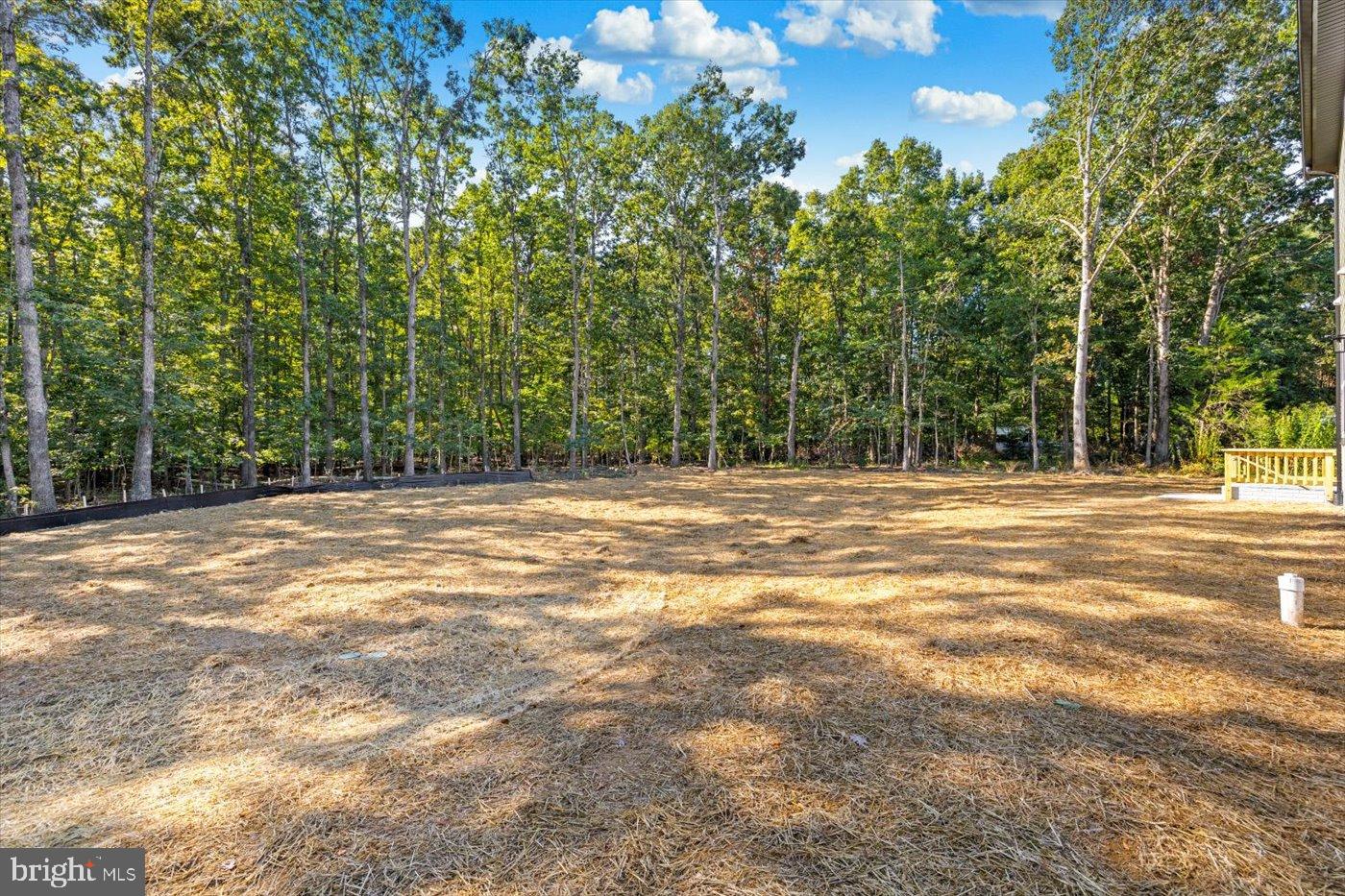 9019 SMITHS BEND RD, FREDERICKSBURG, Virginia 22407, 4 Bedrooms Bedrooms, 14 Rooms Rooms,2 BathroomsBathrooms,Residential,For sale,9019 SMITHS BEND RD,VASP2036182 MLS # VASP2036182