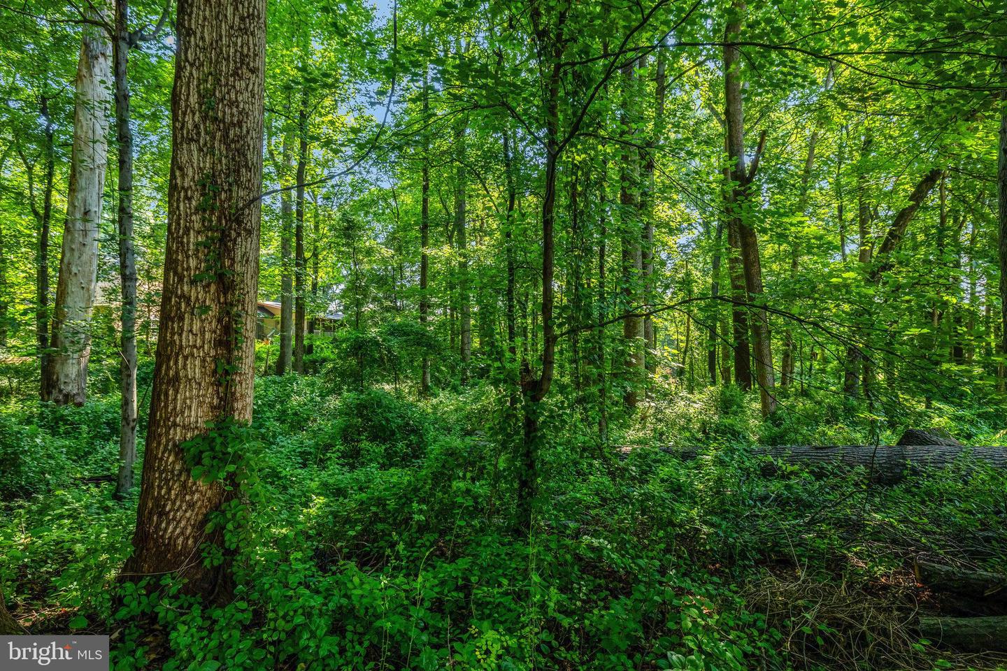 10286 JOHNS HOLLOW RD, VIENNA, Virginia 22182, 6 Bedrooms Bedrooms, ,4 BathroomsBathrooms,Residential,For sale,10286 JOHNS HOLLOW RD,VAFX2222992 MLS # VAFX2222992