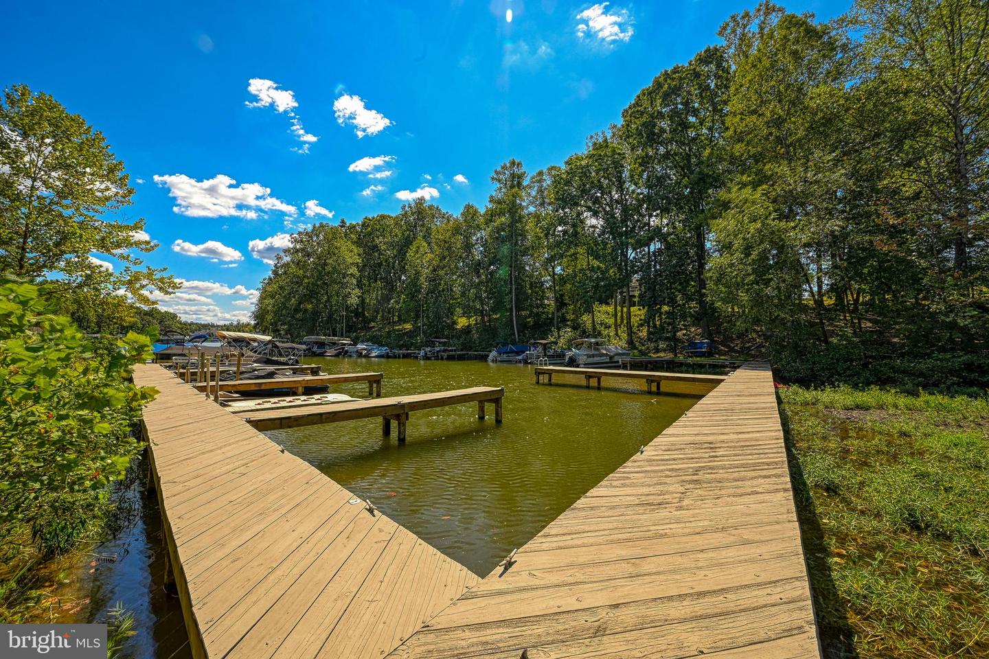 15515 CHESTNUT TREE CT, MINERAL, Virginia 23117, ,Land,For sale,15515 CHESTNUT TREE CT,VASP2036094 MLS # VASP2036094