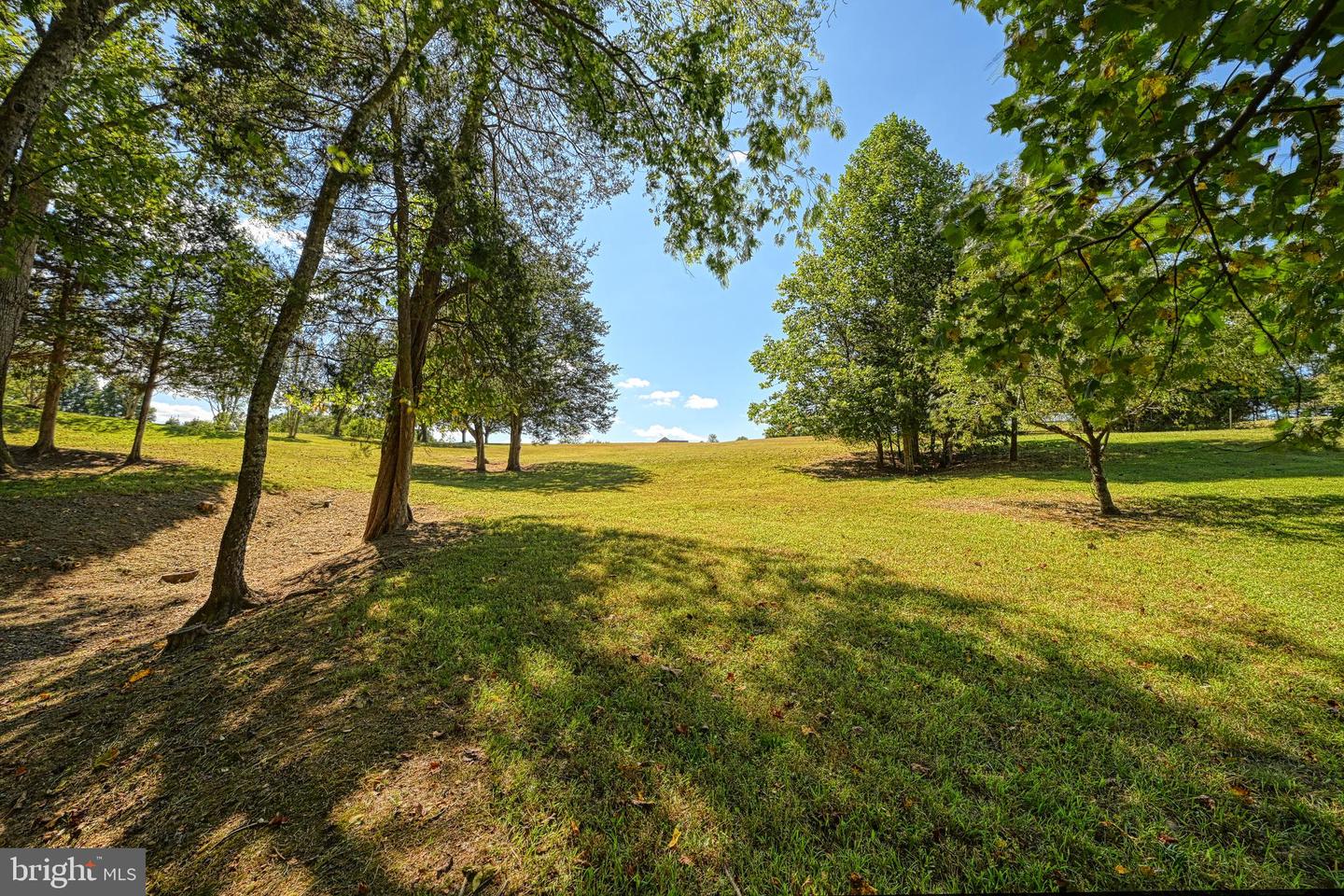 15515 CHESTNUT TREE CT, MINERAL, Virginia 23117, ,Land,For sale,15515 CHESTNUT TREE CT,VASP2036094 MLS # VASP2036094