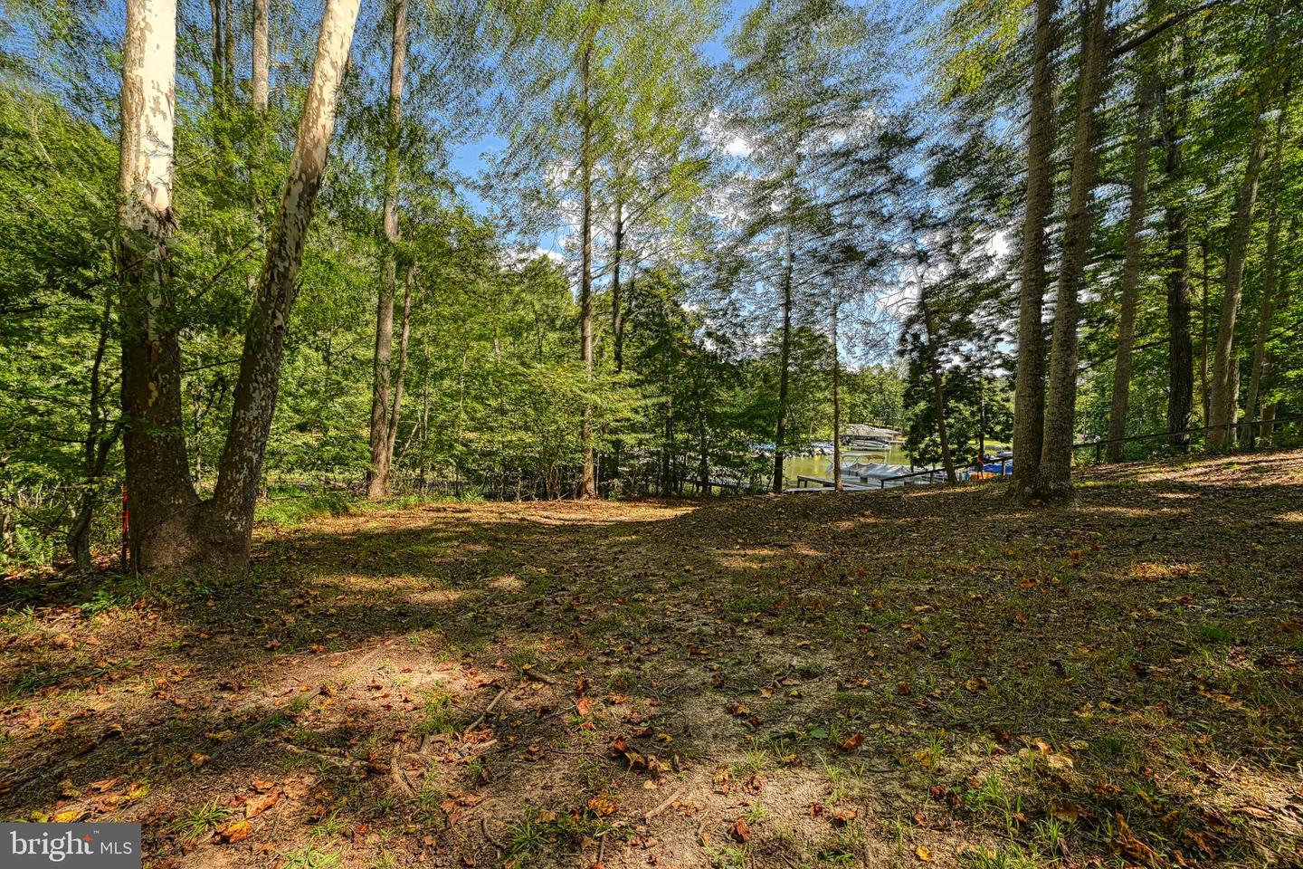15515 CHESTNUT TREE CT, MINERAL, Virginia 23117, ,Land,For sale,15515 CHESTNUT TREE CT,VASP2036094 MLS # VASP2036094