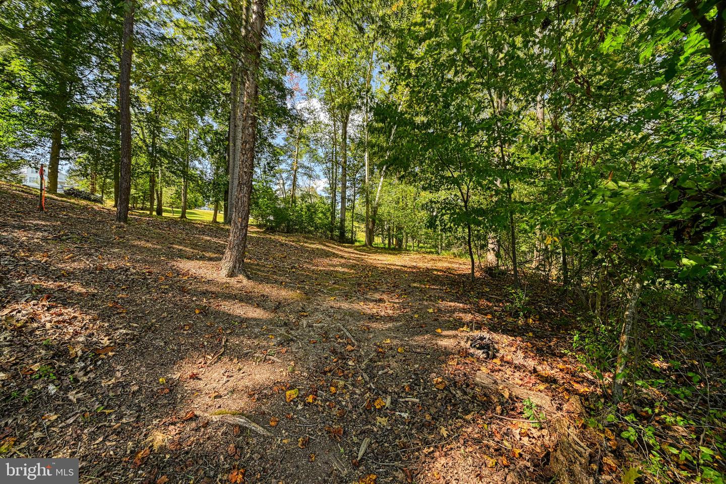 15515 CHESTNUT TREE CT, MINERAL, Virginia 23117, ,Land,For sale,15515 CHESTNUT TREE CT,VASP2036094 MLS # VASP2036094