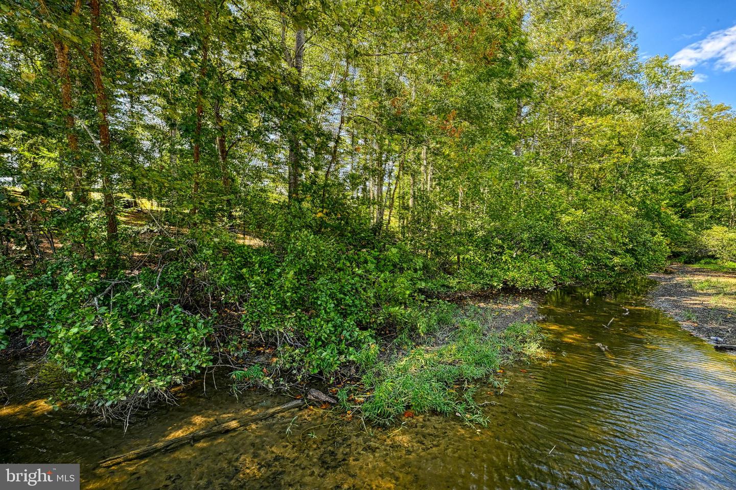 15515 CHESTNUT TREE CT, MINERAL, Virginia 23117, ,Land,For sale,15515 CHESTNUT TREE CT,VASP2036094 MLS # VASP2036094