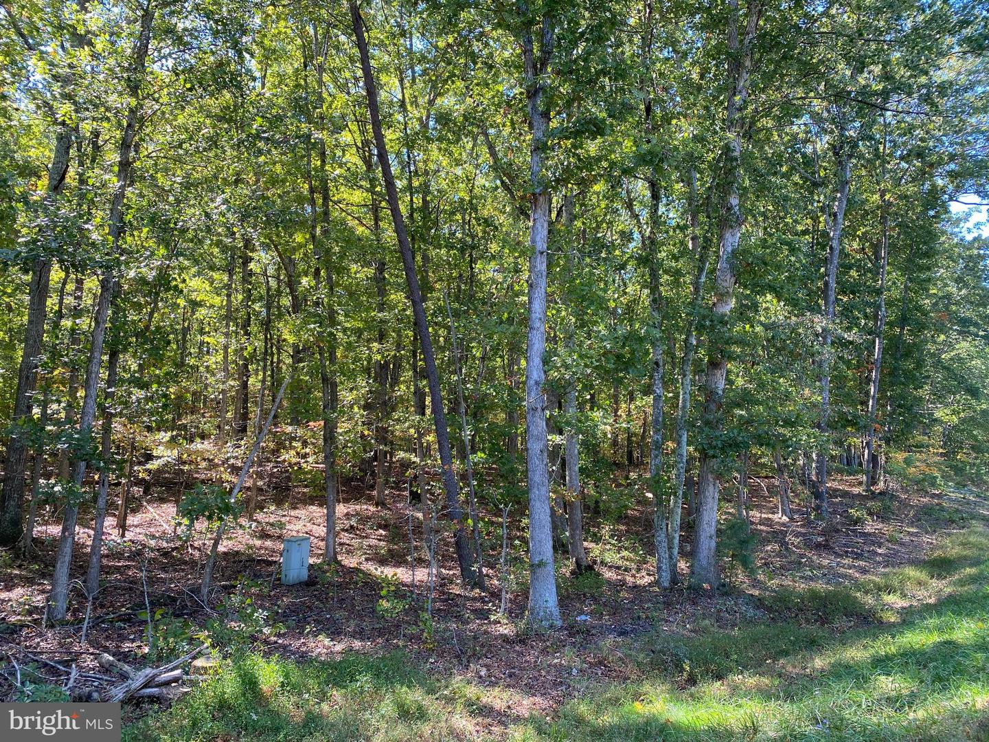 CONSTITUTION HWY, LOCUST GROVE, Virginia 22508, ,Land,For sale,CONSTITUTION HWY,VAOR2012262 MLS # VAOR2012262 CONSTITUTION HWY, LOCUST GROVE, Virginia 22508, ,Land,For sale,CONSTITUTION HWY,VAOR2012262 MLS # VAOR2012262