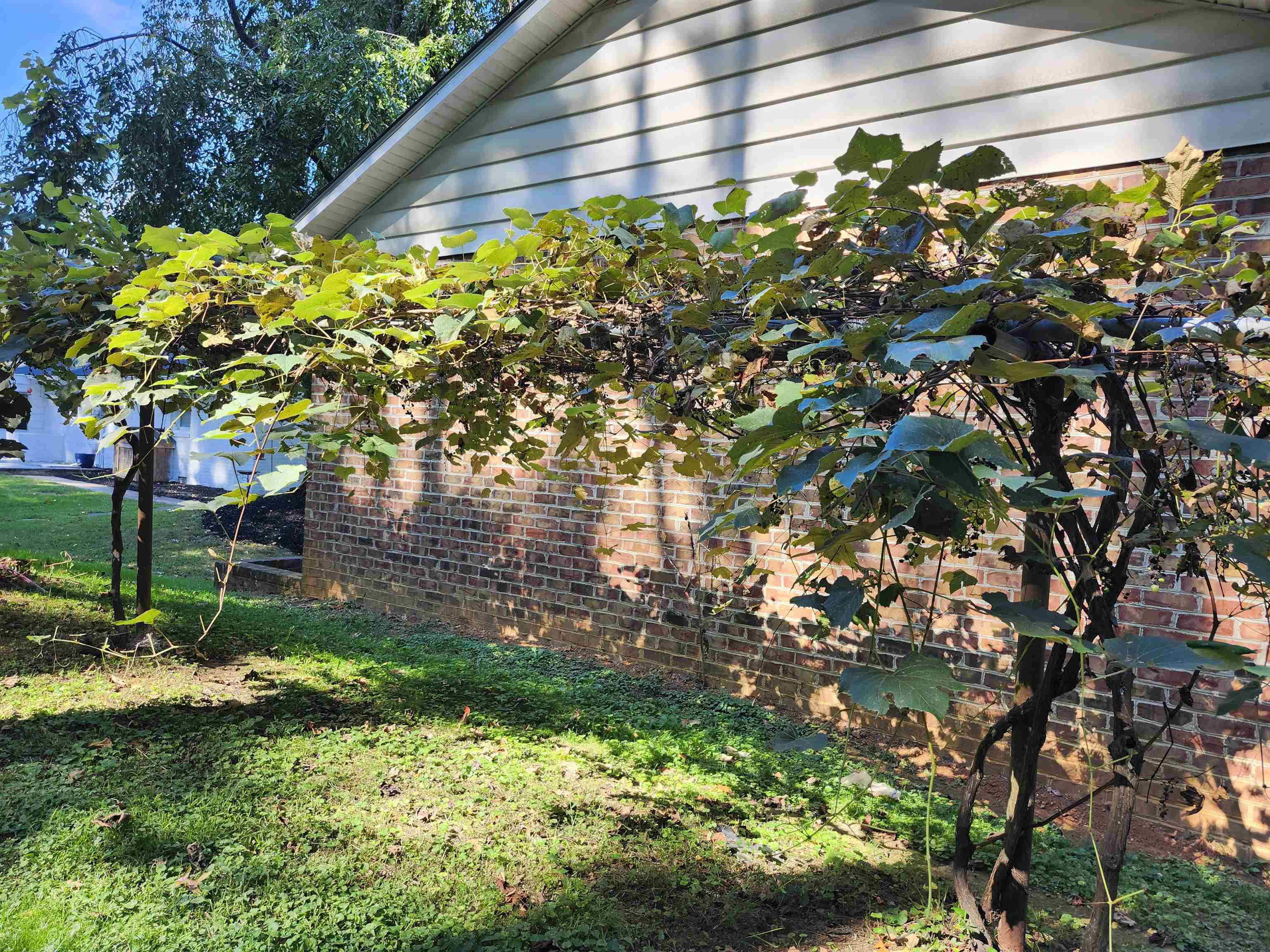 3728 SPOTSWOOD TRL, PENN LAIRD, Virginia 22846, 3 Bedrooms Bedrooms, ,2 BathroomsBathrooms,Residential,3728 SPOTSWOOD TRL,668888 MLS # 668888 3728 SPOTSWOOD TRL, PENN LAIRD, Virginia 22846, 3 Bedrooms Bedrooms, ,2 BathroomsBathrooms,Residential,3728 SPOTSWOOD TRL,668888 MLS # 668888