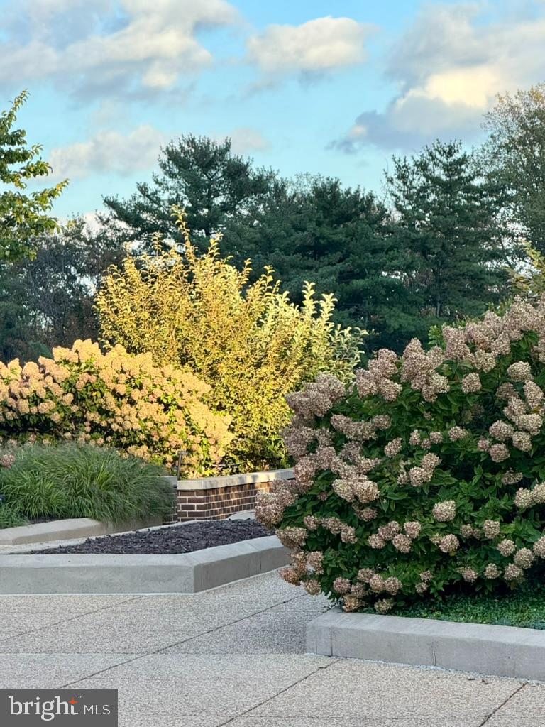 1800 OLD MEADOW RD #1121, MCLEAN, Virginia 22102, 2 Bedrooms Bedrooms, ,2 BathroomsBathrooms,Residential,For sale,1800 OLD MEADOW RD #1121,VAFX2264186 MLS # VAFX2264186 1800 OLD MEADOW RD #1121, MCLEAN, Virginia 22102, 2 Bedrooms Bedrooms, ,2 BathroomsBathrooms,Residential,For sale,1800 OLD MEADOW RD #1121,VAFX2264186 MLS # VAFX2264186