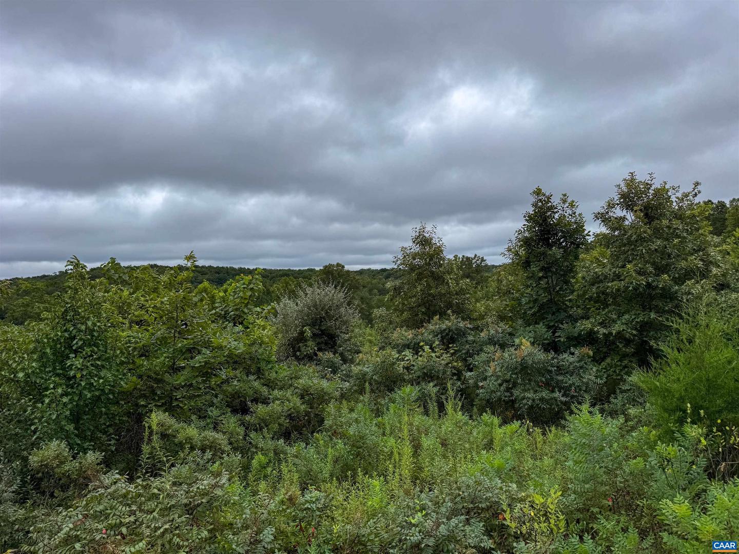 TBA OLD GREEN MOUNTAIN RD #00500, ESMONT, Virginia 22937, ,Farm,For sale,TBA OLD GREEN MOUNTAIN RD #00500,668925 MLS # 668925
